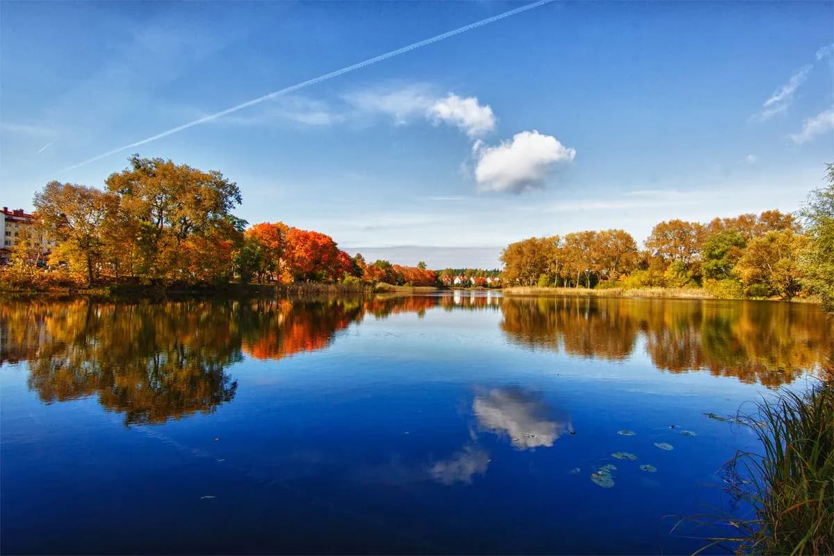 Jezioro Rogozińskie: piękno natury, zagrożenia ekologiczne i atrakcje
