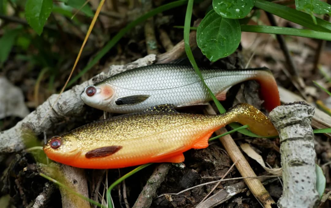 Skuteczne przynęty na białoryb, które zwiększą Twoje szanse na sukces