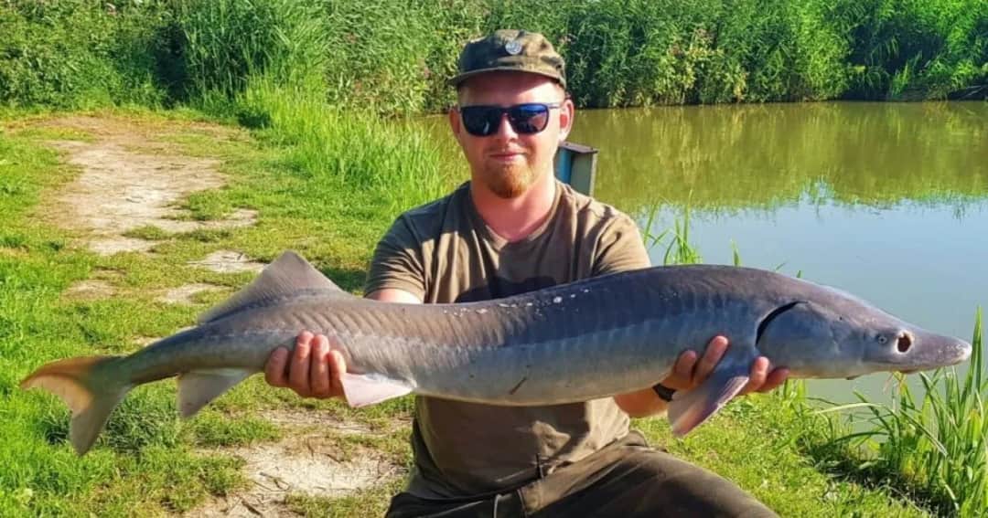 Łowisko Wojciechów: idealne miejsce na udane wędkowanie bez stresu