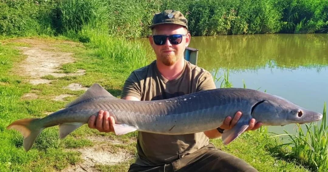 Łowisko Wojciechów: idealne miejsce na udane wędkowanie bez stresu