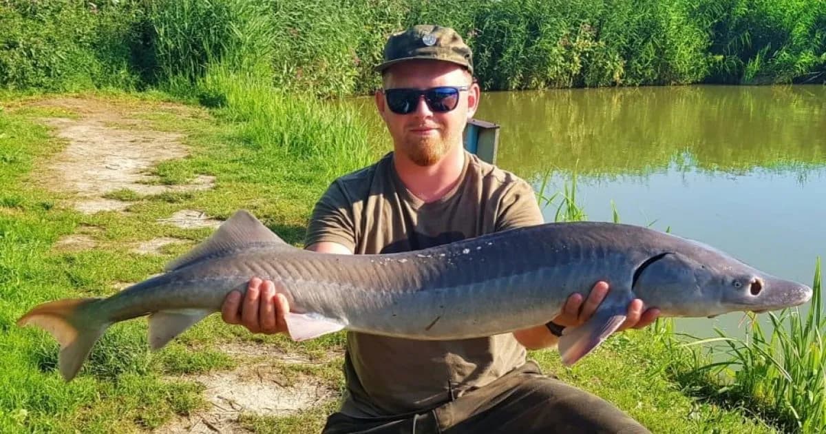 Łowisko Wojciechów: idealne miejsce na udane wędkowanie bez stresu