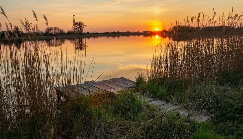 Łowisko Orońsko - najlepsze miejsca na wędkowanie i ryby w regionie
