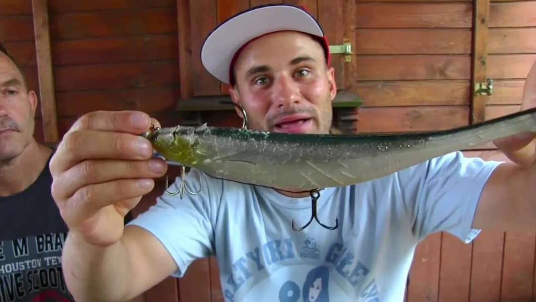 Najskuteczniejsze przynęty na suma spinning – sprawdź, co działa najlepiej