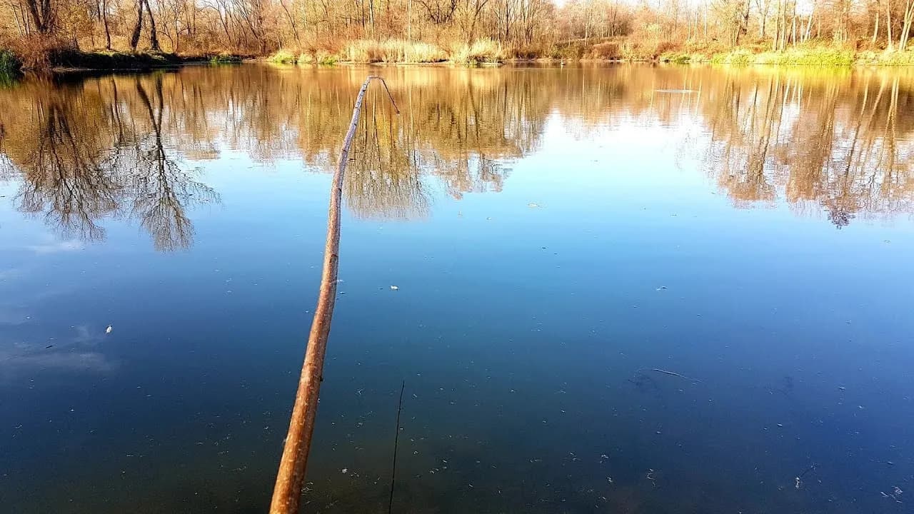 Jak zrobić wędkę z patyka - proste kroki na udane wędkowanie