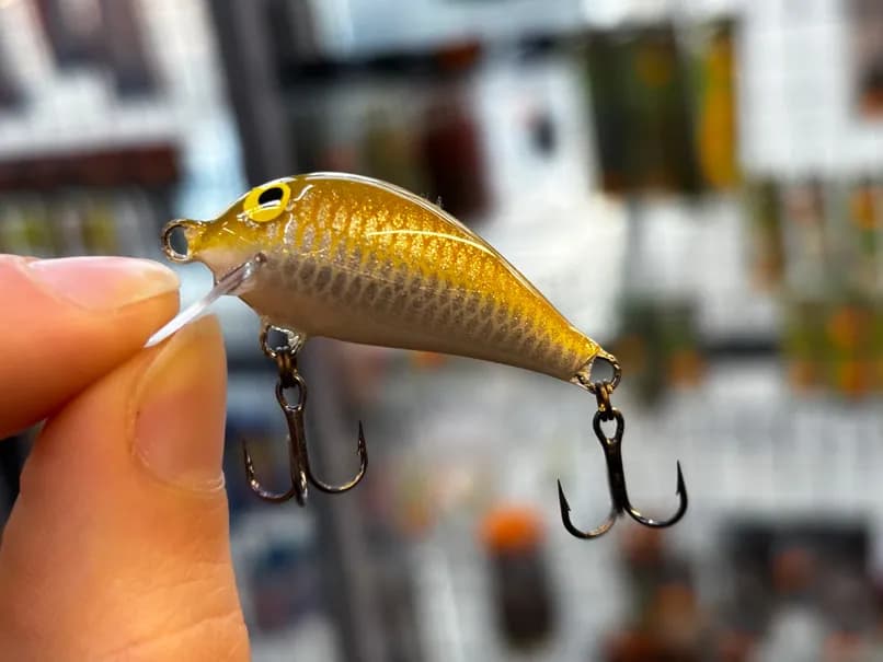 Najskuteczniejsze przynęty kleniowe na każdą porę roku