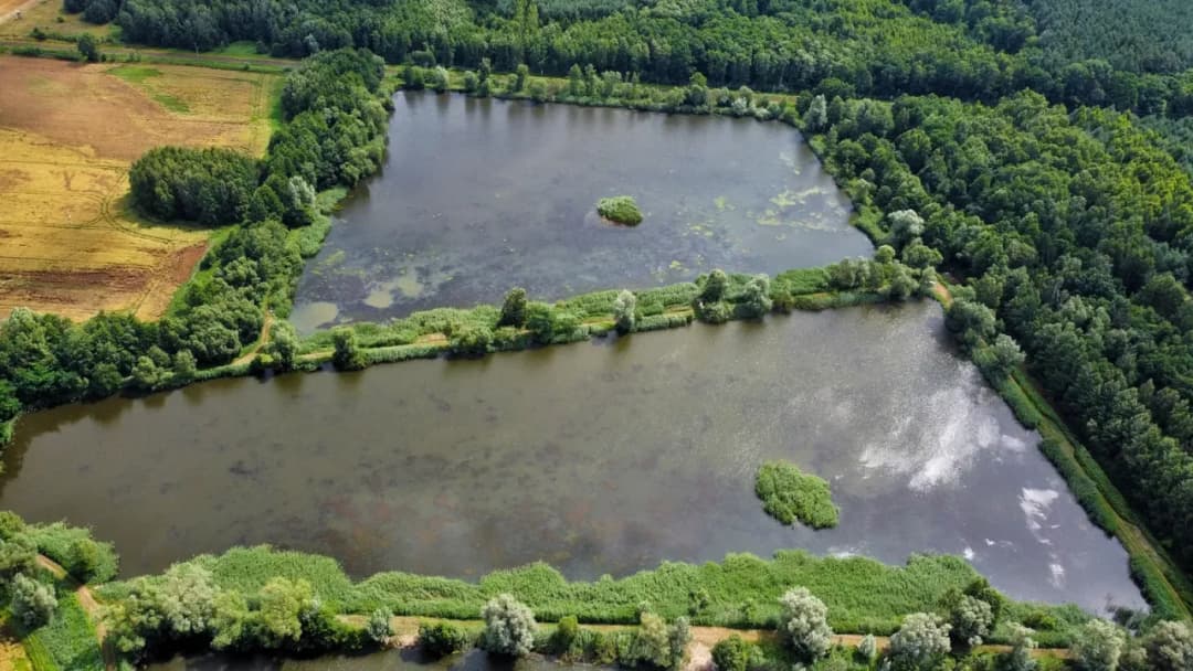 Zalew Karczunek zdjęcia łowiska – odkryj urok wędkarskiego raju