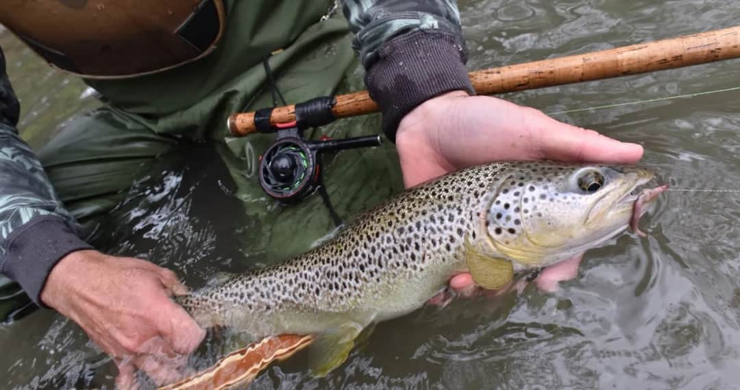Jakie są koszty karty wędkarskiej? Zobacz ceny i opłaty w Polsce