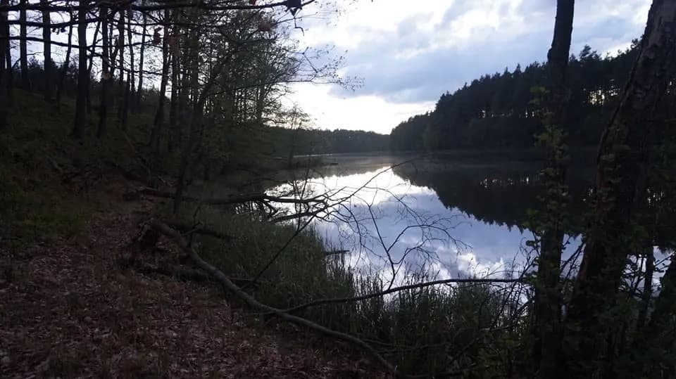Łowisko Missisipi: Idealne miejsce na wędkarską przygodę w naturze