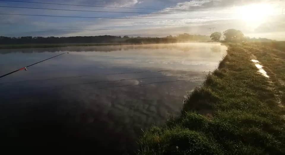Rogów Legnicki łowisko - idealne miejsce na wędkarskie przygody