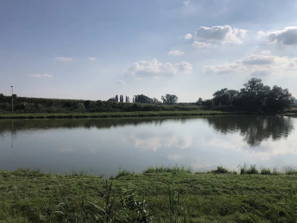 Łowisko Cysterskie: Idealne miejsce na wędkarskie przygody w Owińskach