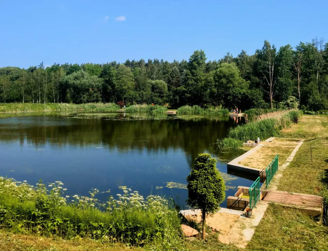 Łowisko Całowanie zdjęcia – odkryj piękno stawu i wyjątkowe chwile