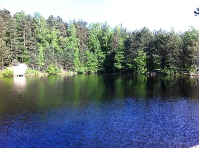 Łowisko specjalne Kacze Doły: wszystko, co musisz wiedzieć o wędkowaniu