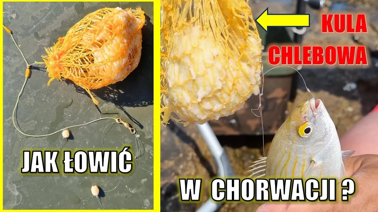 Na co łowić ryby w Chorwacji? Skuteczne przynęty, które działają