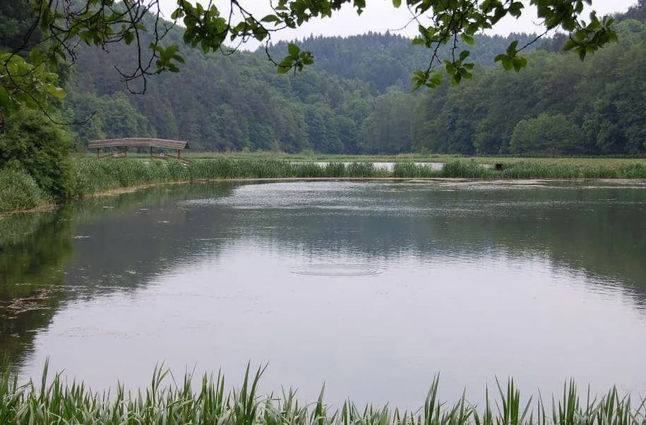 Łowisko w Dolinie Będkowskiej: najlepsze miejsca na wędkowanie