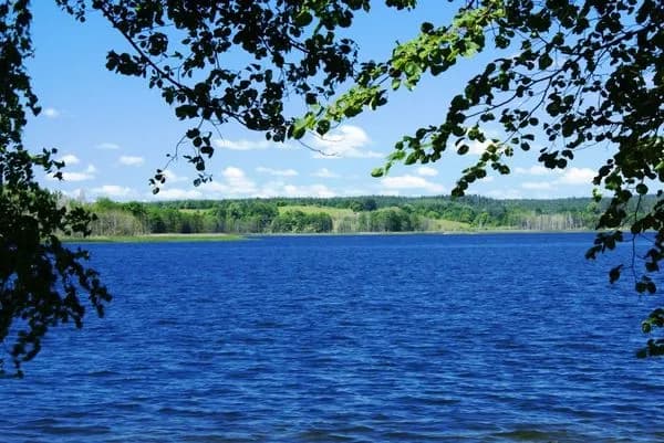 Majcz Wielki - malownicze jezioro z atrakcjami dla turystów