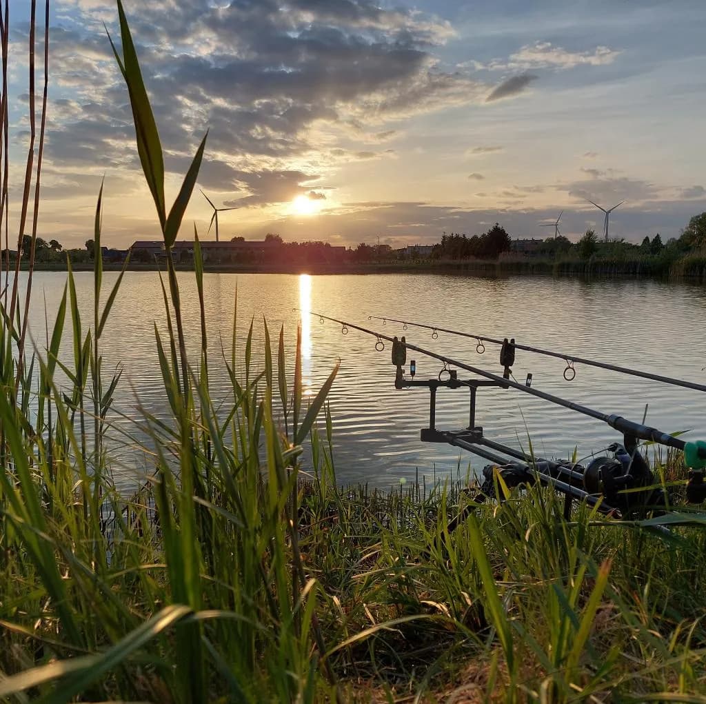 Łowisko Nekielka: najlepsze miejsce na karpie i komfortowe wędkowanie