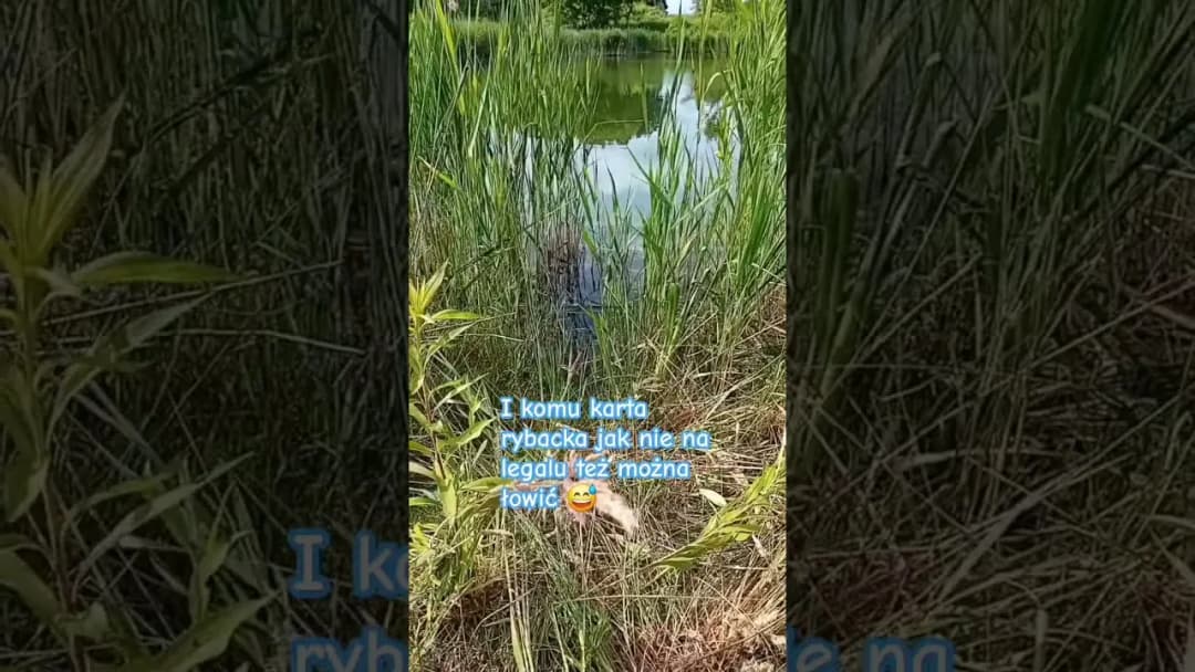 Gdzie na ryby bez karty Radom? Odkryj łowiska bez licencji