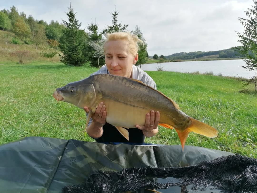 Łowisko karp w dolinie – idealne miejsce na wędkarskie wyzwania