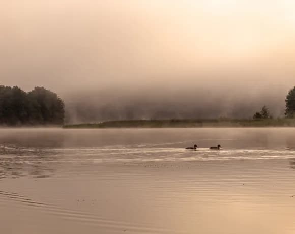 Jezioro Giłwa: piękno natury, wędkowanie i atrakcje turystyczne
