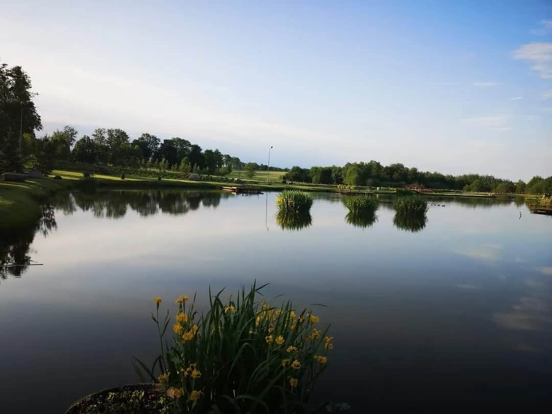 Łowisko u Wiesi - idealne miejsce na wędkowanie w Zasutowie