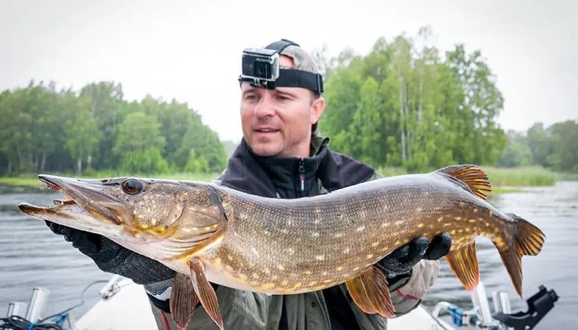 Jaka wędka na szczupaka - wybierz idealny model dla siebie