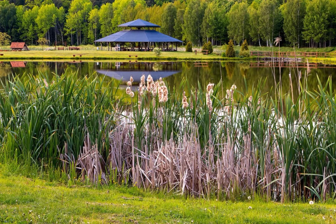 Łowisko komercyjne Stany - wszystko o wędkowaniu i noclegach