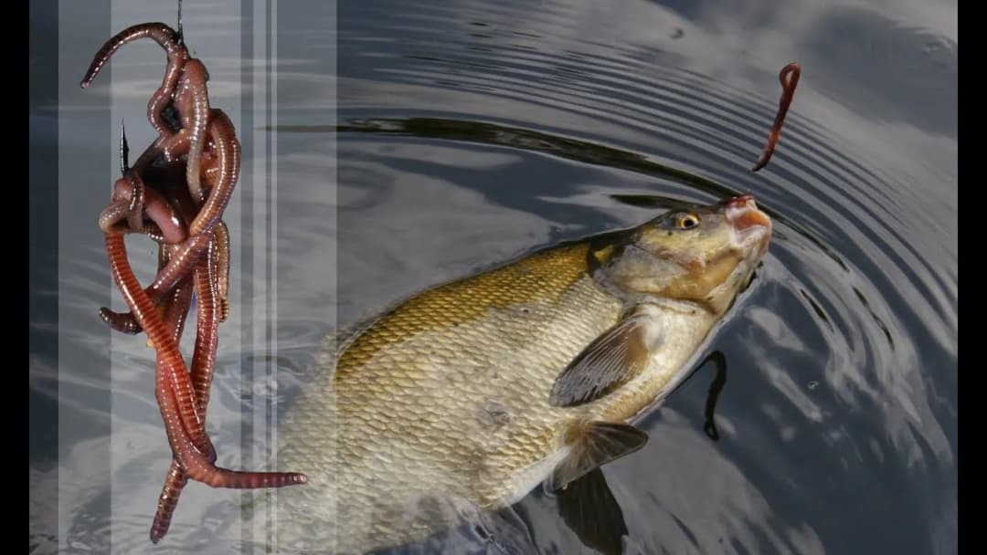 Jak zamontować haczyk do wędki, aby uniknąć utraty ryby