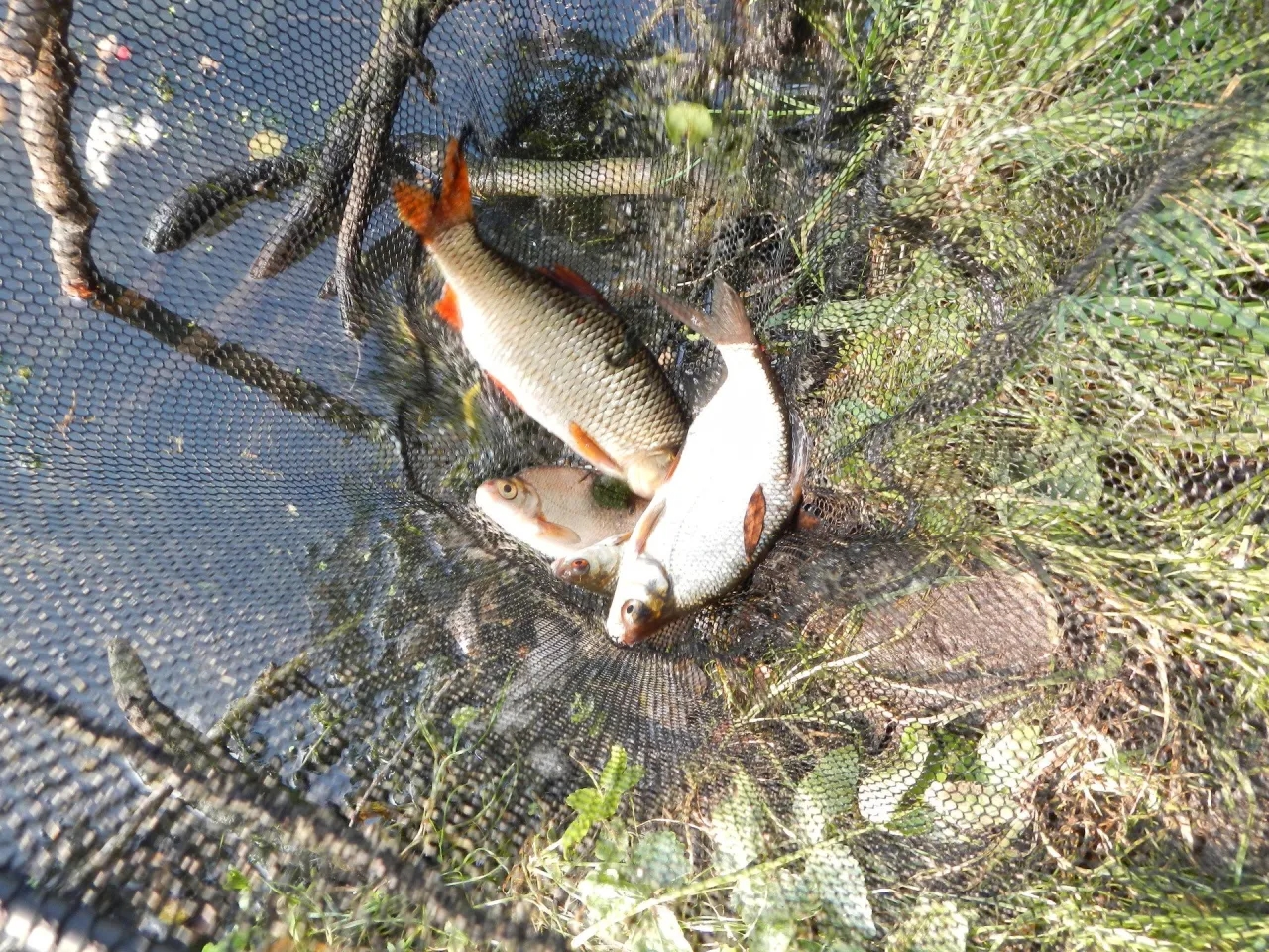 Gdzie na ryby Mazowieckie PZW? Odkryj najlepsze łowiska i zasady