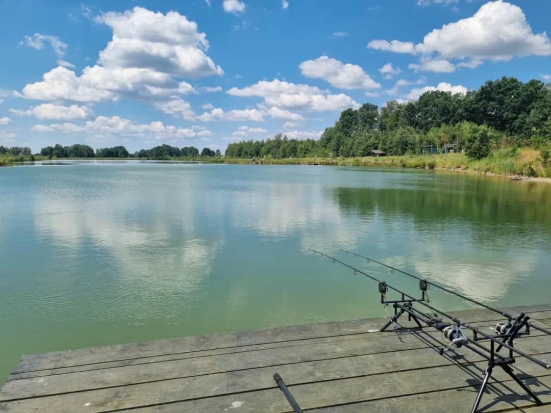 Łowisko Borowa - odkryj najlepsze miejsca na wędkowanie w Polsce