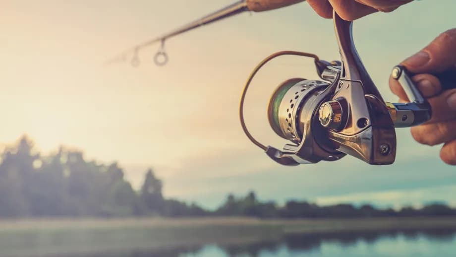 Jaką wędkę kupić na początek, aby uniknąć błędów nowicjusza?