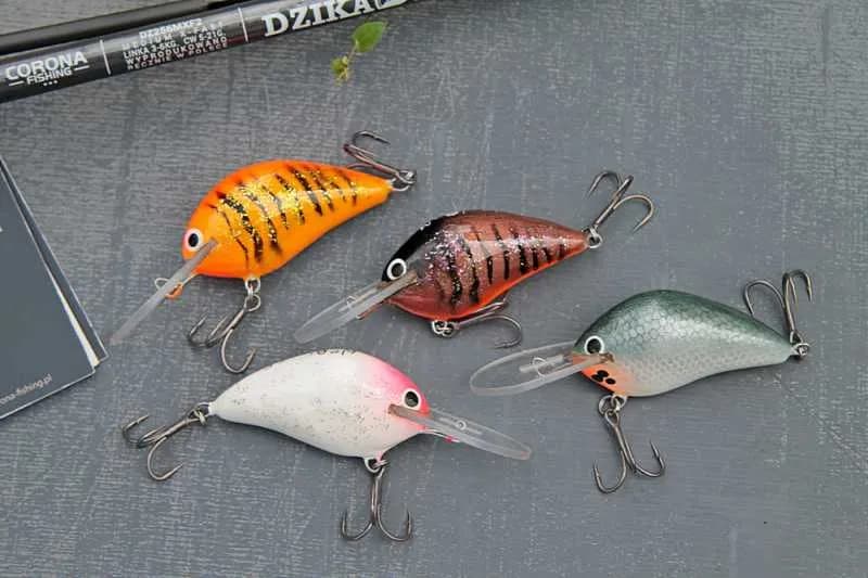 Najskuteczniejsze przynęty na brzany, które zwiększą Twoje szanse na sukces