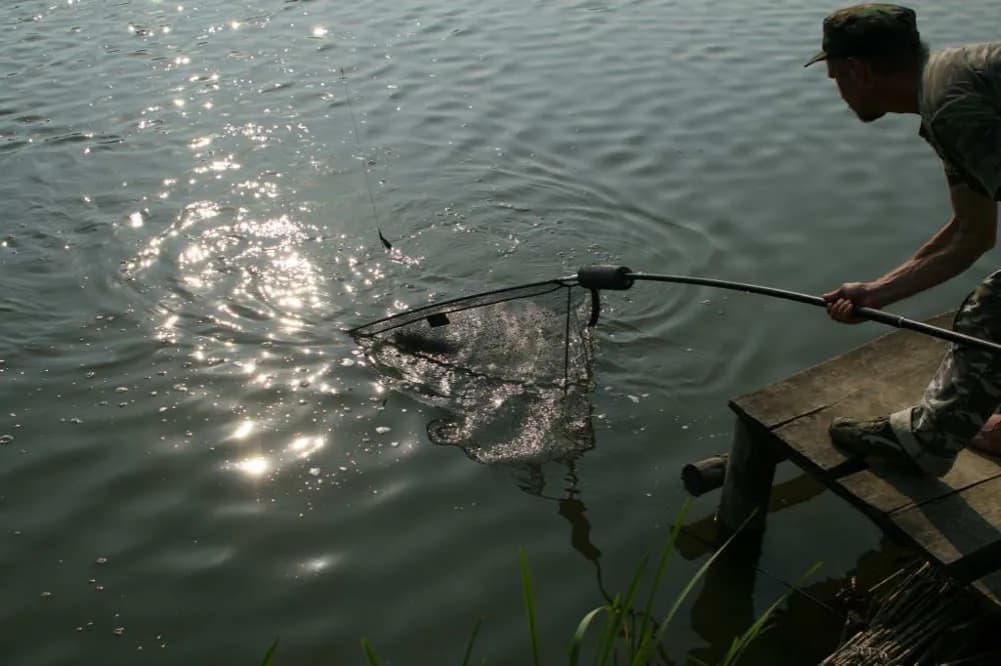 Łowisko wędkarskie Besko - idealne miejsce na udane wędkowanie