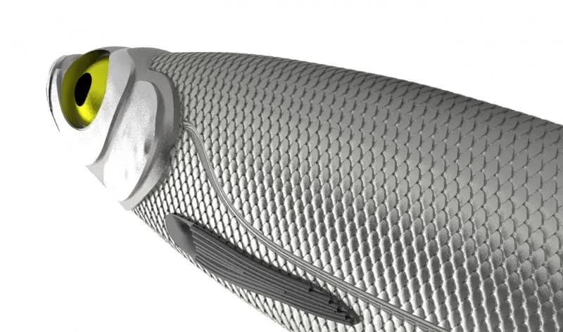 Formy do przynęt wędkarskich: Jak zaoszczędzić na łowieniu ryb