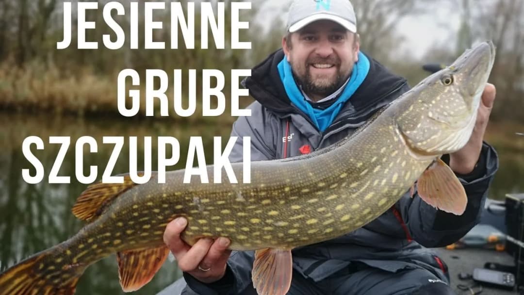 Najlepsze przynęty na szczupaka jesień - unikaj błędów w łowieniu