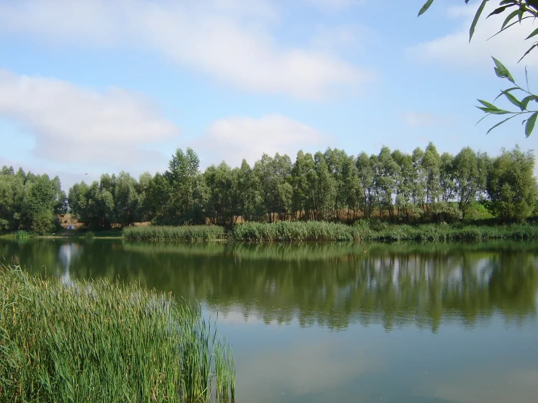 Łowisko Krzekotowo: najlepsze miejsce na wędkowanie bez stresu