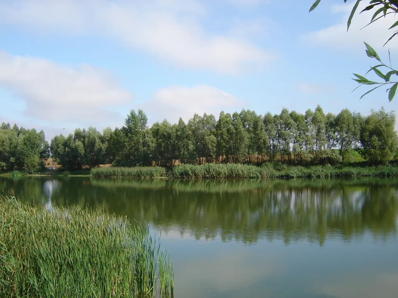 Łowisko Krzekotowo: najlepsze miejsce na wędkowanie bez stresu