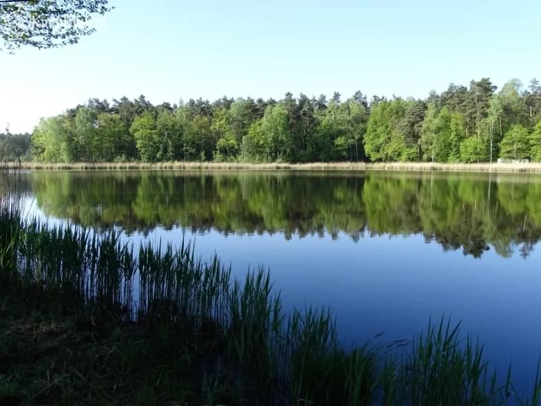 Łowisko Baroniok – idealne miejsce na wędkarską przygodę w Polsce