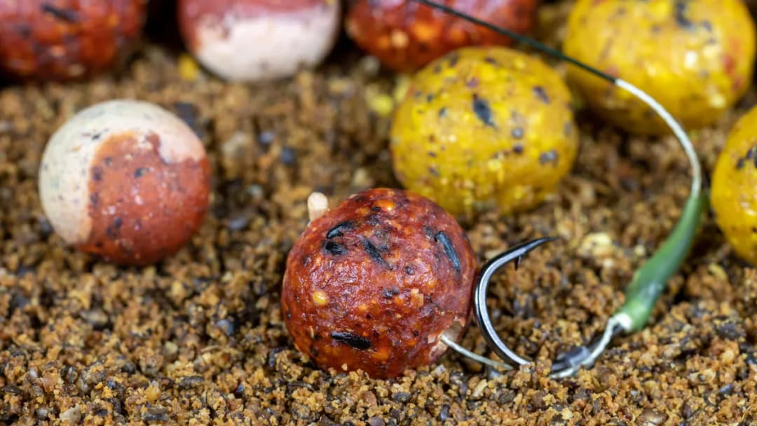 Jakie ryby przyciąga zapach czosnku i jak go skutecznie używać