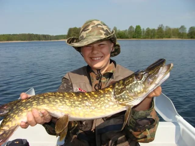 Mazury gdzie na ryby forum - najlepsze miejsca i wędkarze polecają