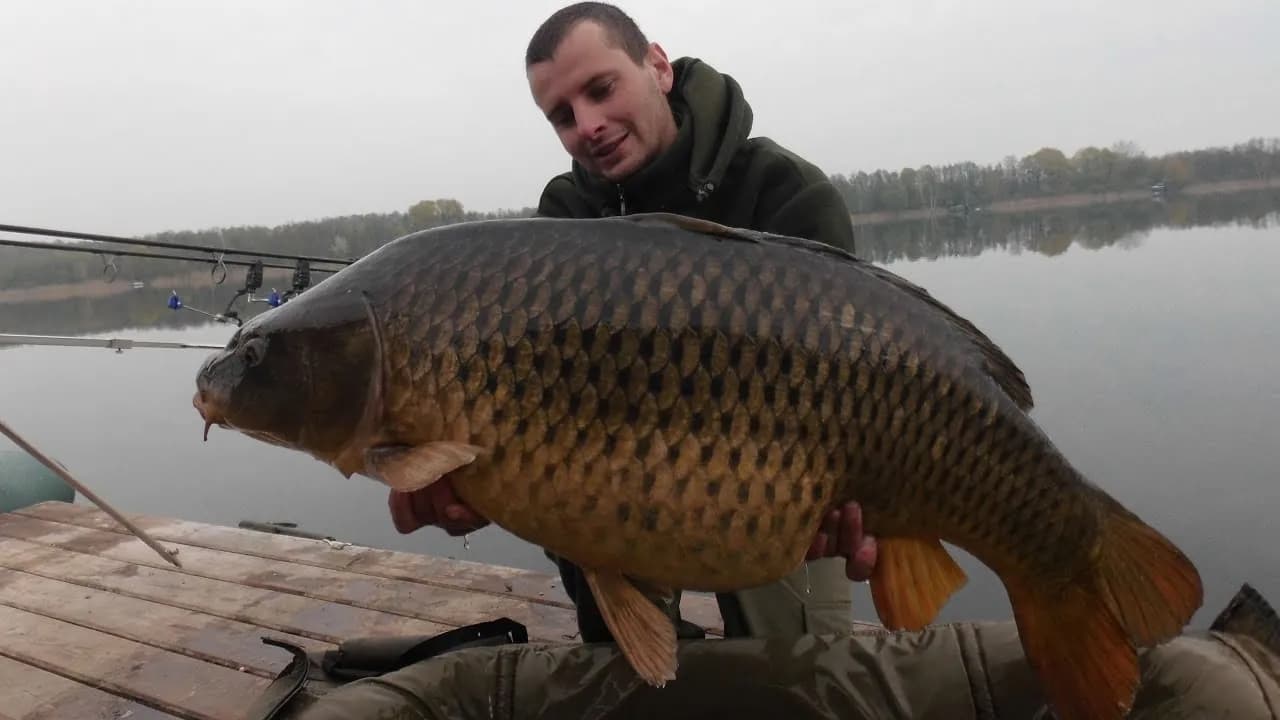 Łowisko Gosławice: Idealne miejsce na niezapomniane wędkowanie