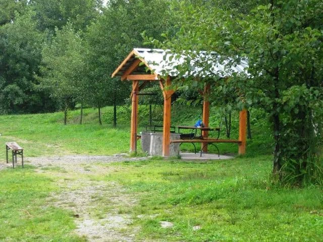 Łowisko Biała Przemsza - najlepsze miejsce na wędkowanie i relaks