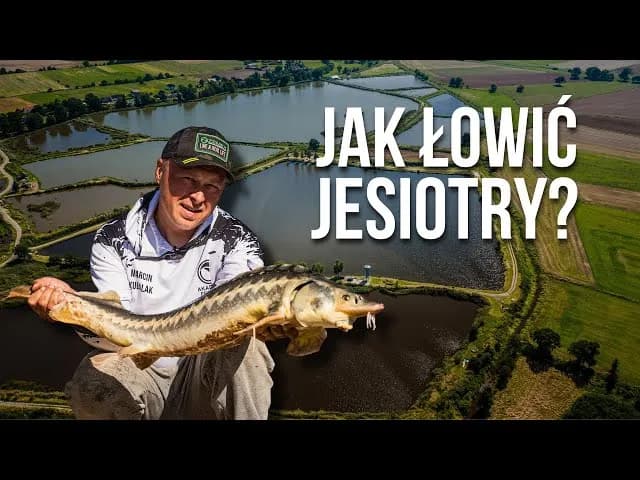 Najlepsza przynęta na jesiotra – unikaj błędów i łów skutecznie