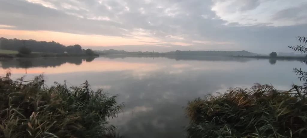 Łowisko Goldfish Manieczki: najlepsze miejsce na wędkowanie w regionie