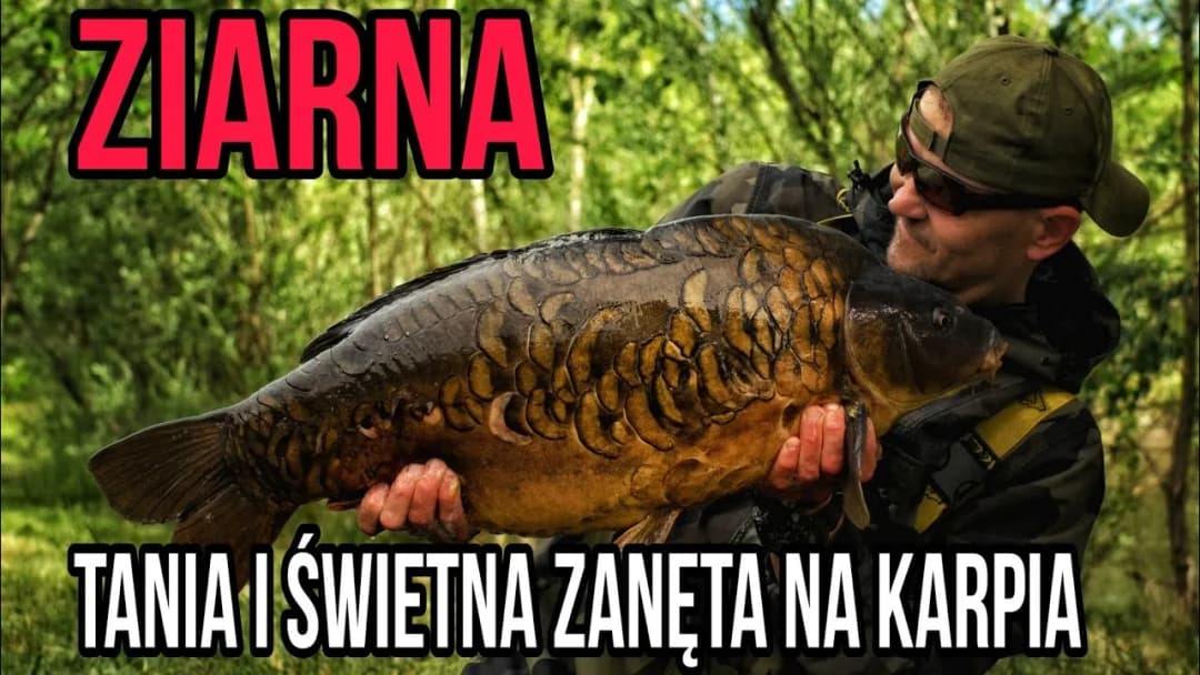 Jakie ziarna na ryby są najskuteczniejsze? Odkryj tajniki wędkowania