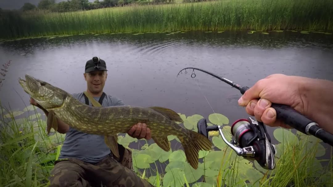 Jak prowadzić przynętę na szczupaka, aby uniknąć nieudanych połowów