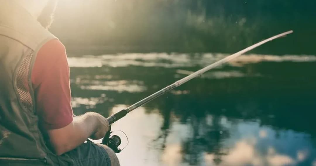 Łowisko Drwinia - najlepsze miejsce na wędkowanie w Małopolsce