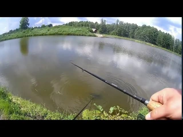Łowisko Czarna Kolonia – idealne miejsce na wędkowanie bez karty