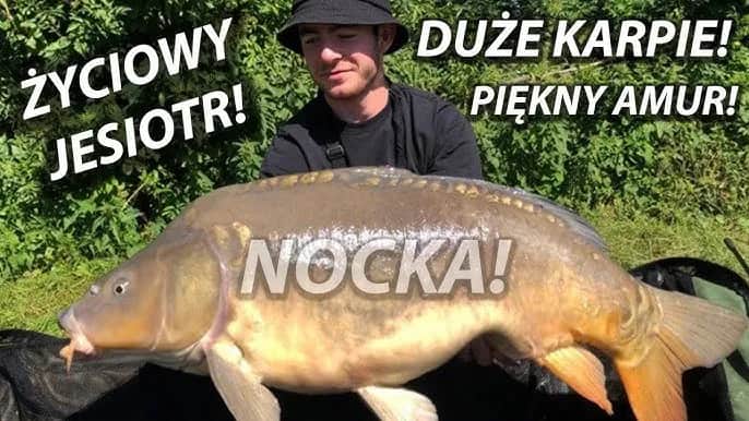 Łowisko u Romana Biały Bór - idealne miejsce na wędkowanie bez stresu