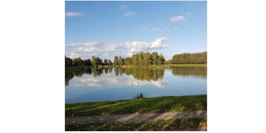 Kaszyce Milickie łowisko - najlepsze miejsce na wędkowanie i relaks