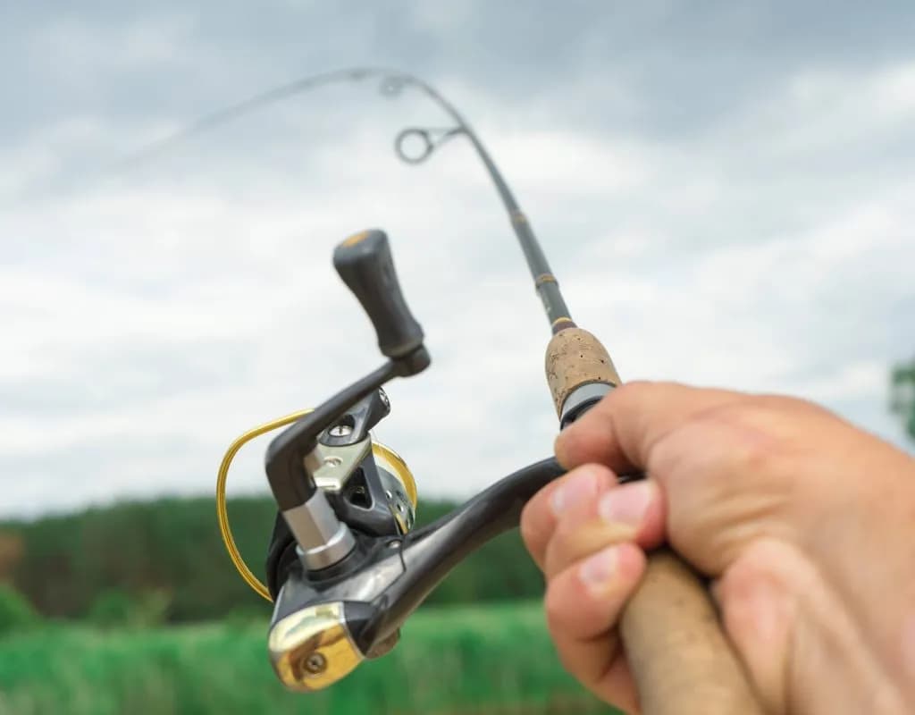 Jaką wędkę na spinning wybrać, aby uniknąć błędów w połowach?